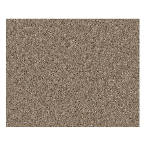 Smooth Talk II Buffington Textured Polyester Carpet