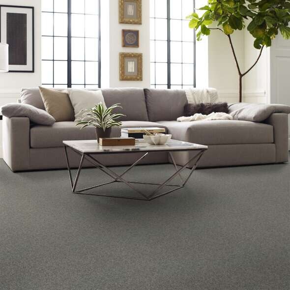 Soft Shades My Choice Ii Fog Nylon Carpet - Textured