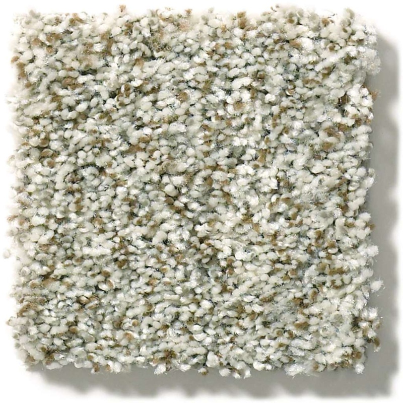 Simply The Best Cabana Life (B) Seashell Polyester Carpet - Textured