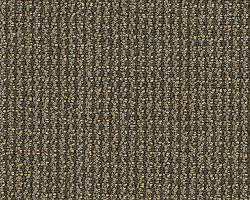 Dateline Today Editions Nylon Carpet - Loop
