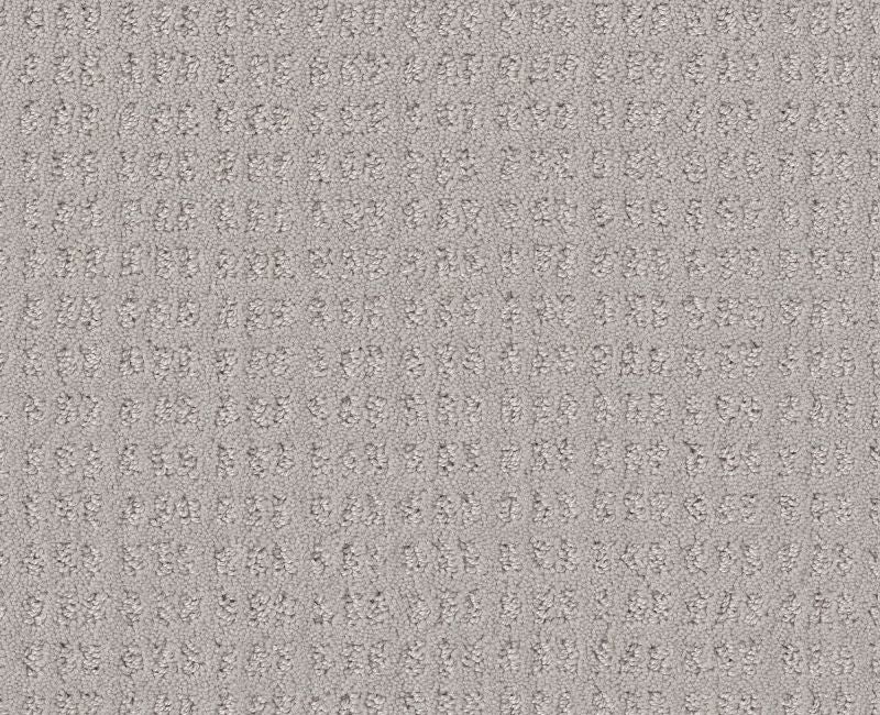 Now Or Never Split Sediment Nylon Carpet - Loop