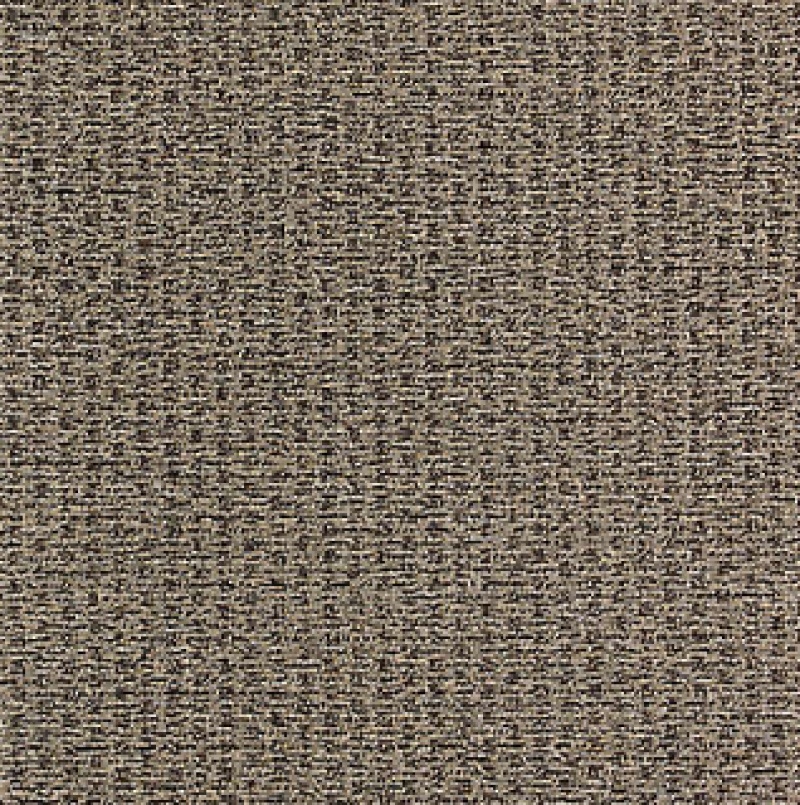 True Form Tinted Gray Nylon Carpet - Loop