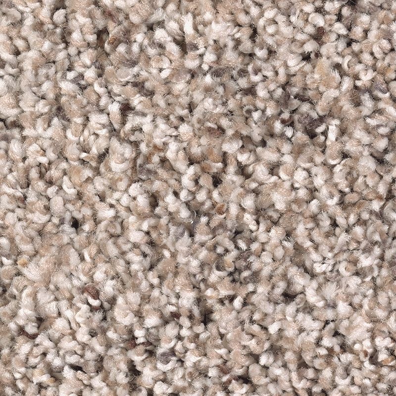Soft Sensations Ii Turkish Delight Polyester Carpet - Textured