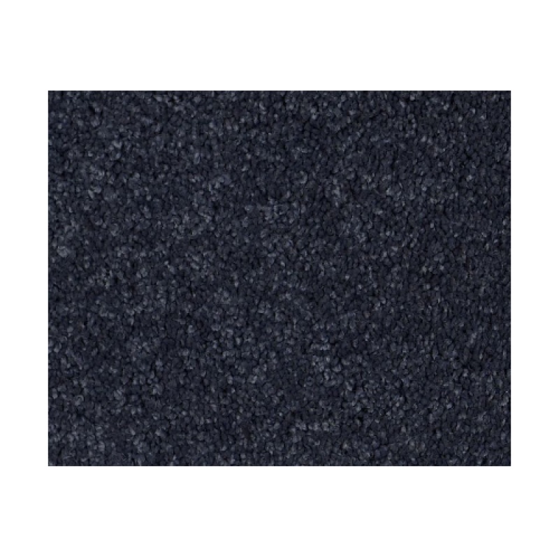 Castle Pv Ii Deep Indigo Nylon Carpet - Textured