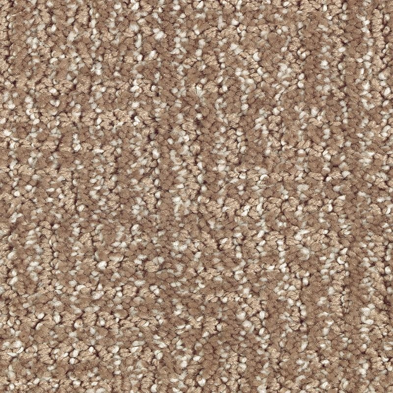 Natural Treasure Rich Earth Triexta Carpet - Pattern