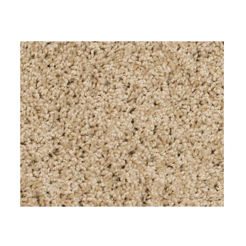 Butterfly Kisses Iii High Wind Nylon Carpet - Textured