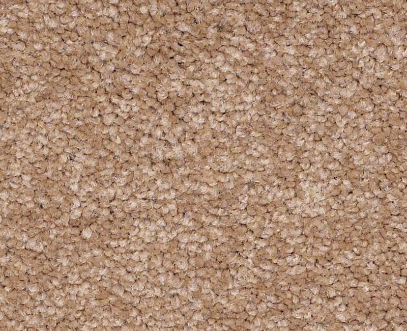 Bright Spirit III 15' Muffin Nylon Carpet - Textured