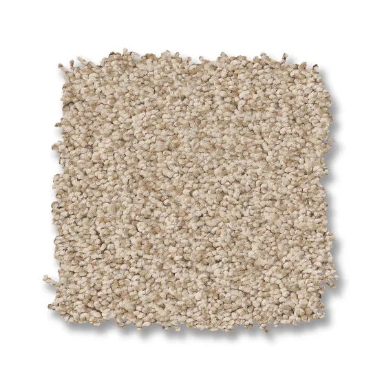 Avalon Bay Down Home Nylon Carpet - Textured
