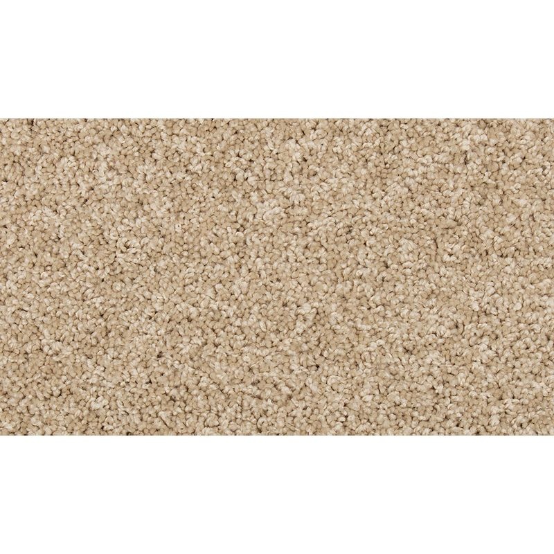 Renovate Ii Sugar Cookie Polyester Carpet - Textured