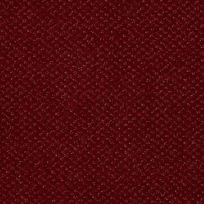 Legend Falls Delray Nylon Carpet - Textured