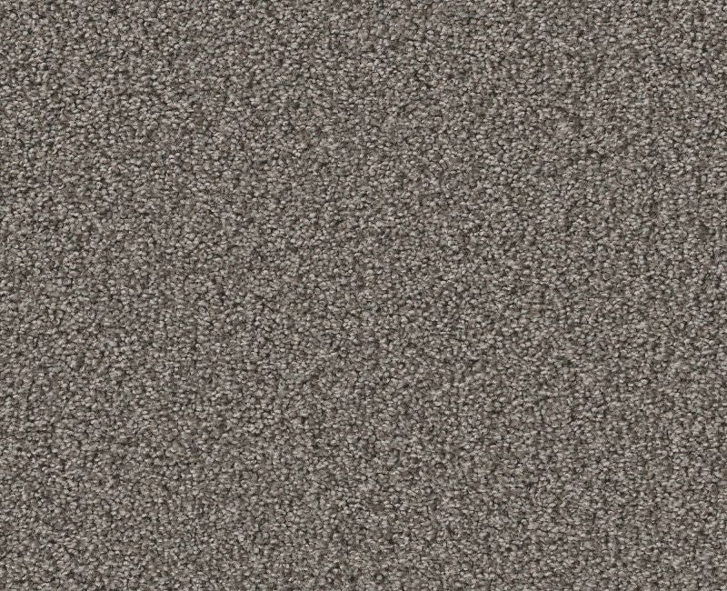 Inspire Me Ii Weathered Sidin Nylon Carpet - Textured