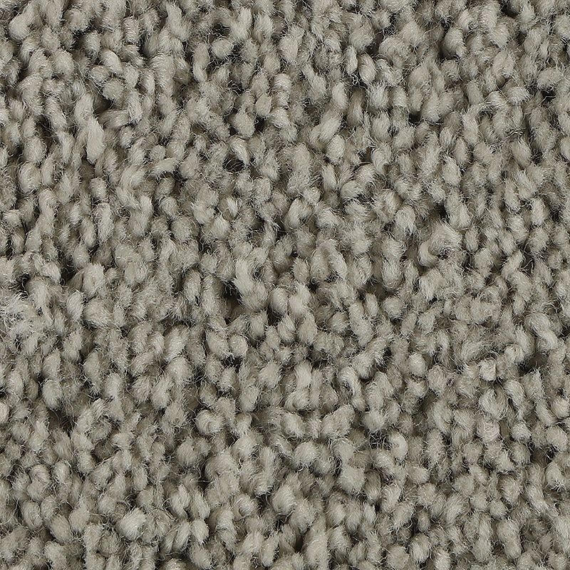 Soft Outlook Hazy Stratus Polyester Carpet - Textured
