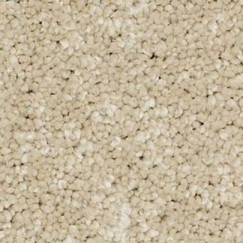 Murphy Biscuit Nylon Carpet - Textured