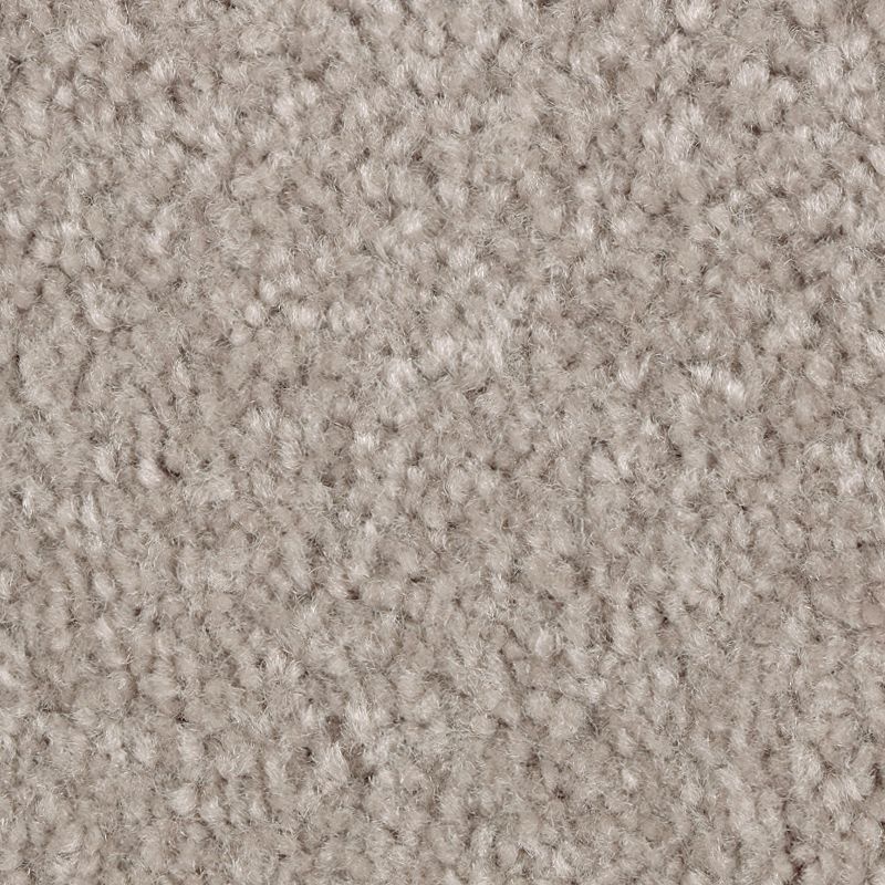 Classical Design Iii Quailridge Triexta Carpet - Textured