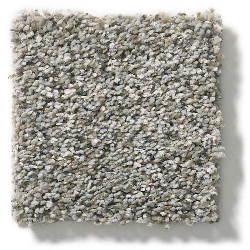 Simply The Best All Set II Rhino Polyester Carpet - Textured