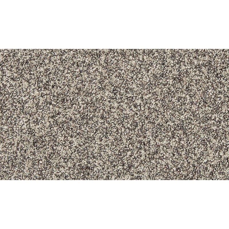 Lush Details Iceberg Triexta Carpet - Textured
