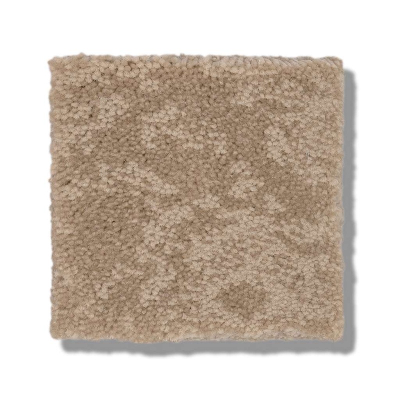 Caress by Shaw Free Spirit Natural Beauty Nylon Carpet