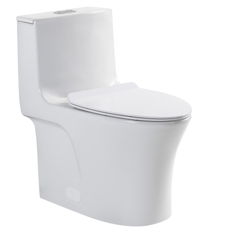 White 1-Piece Dual Flush Elongated Toilet