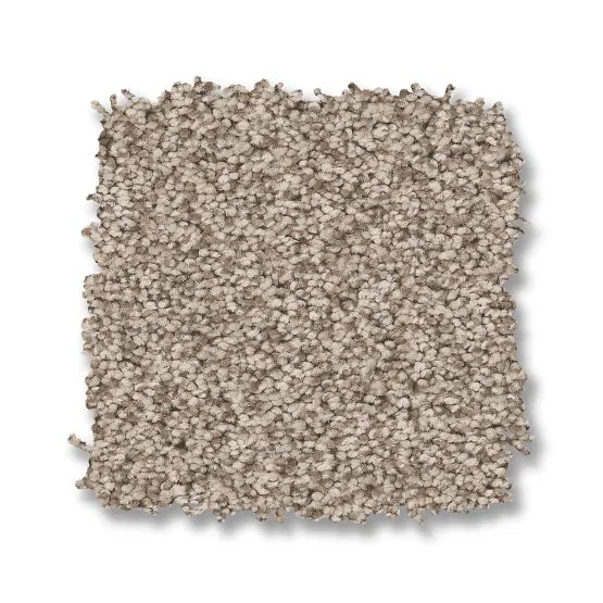 Avalon Bay White Mocha Nylon Carpet - Textured