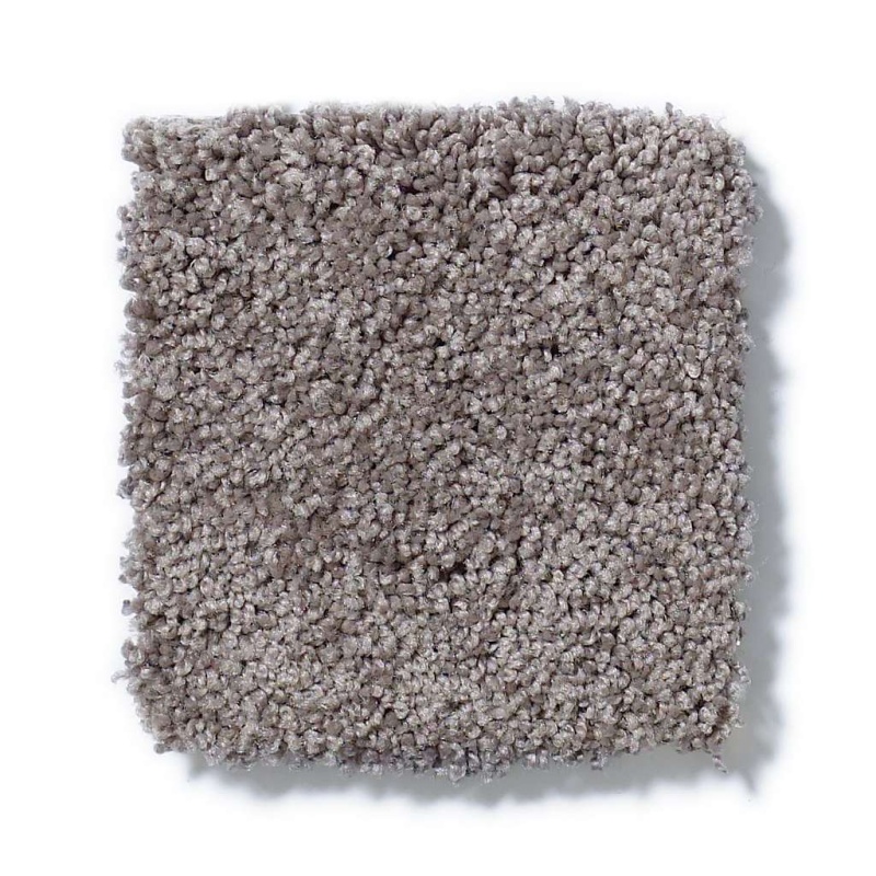 Soft Shades My Choice Iii Sepia Nylon Carpet - Textured