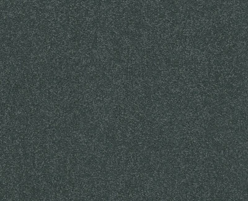 Qs159 12' Cadet Nylon Carpet - Textured