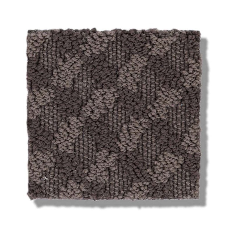 Caress By Shaw Inspired Design Burma Brown Nylon Carpet