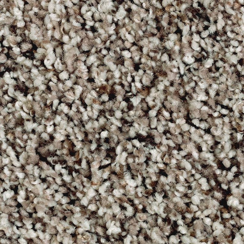 Softly Elegant Ii First Star Polyester Carpet - Textured