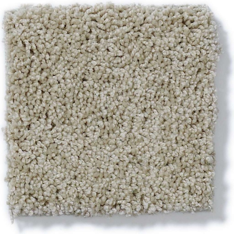 Soft Shades My Choice Ii Bare Essence Nylon Carpet - Textured