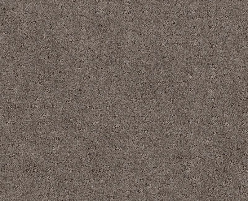Latest Thing Ridgeview Nylon Carpet - Loop
