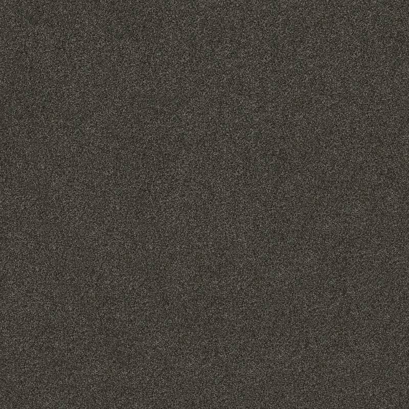 Anso Open I (S) Rich Earth Nylon Carpet - Textured