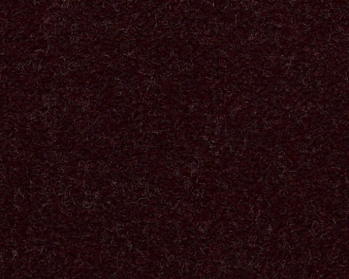 Emphatic Ii 30 Plum Cordial Nylon Carpet - Textured