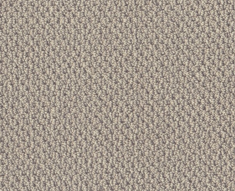 Lasting Loop Textured Canvas Nylon Carpet - Loop