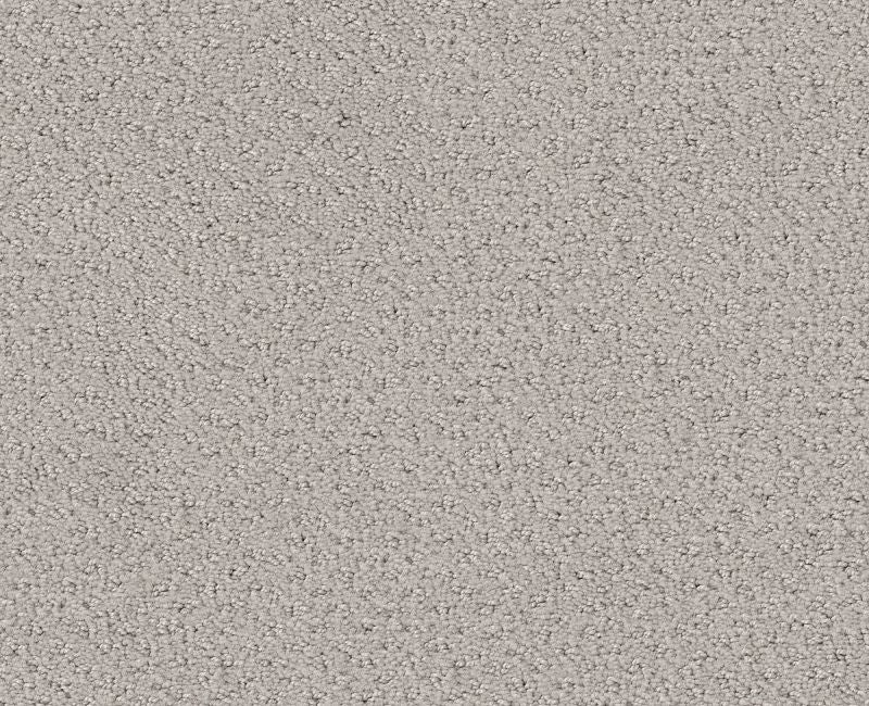 Main Squeeze Split Sediment Nylon Carpet - Textured