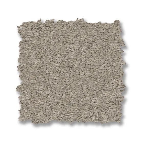 Enchanting String Nylon Carpet - Textured