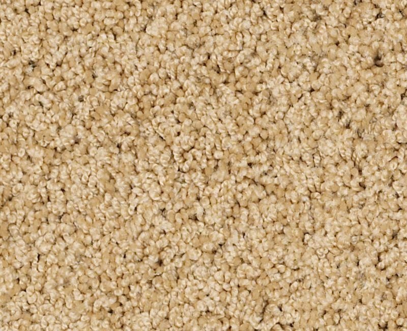 Playa Blanca Sun Shower Nylon Carpet - Textured