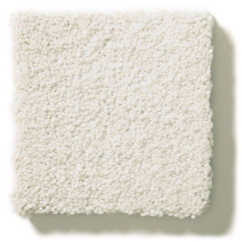 Simply The Best Montage I Painter's Canvas Polyester Carpet - Textured