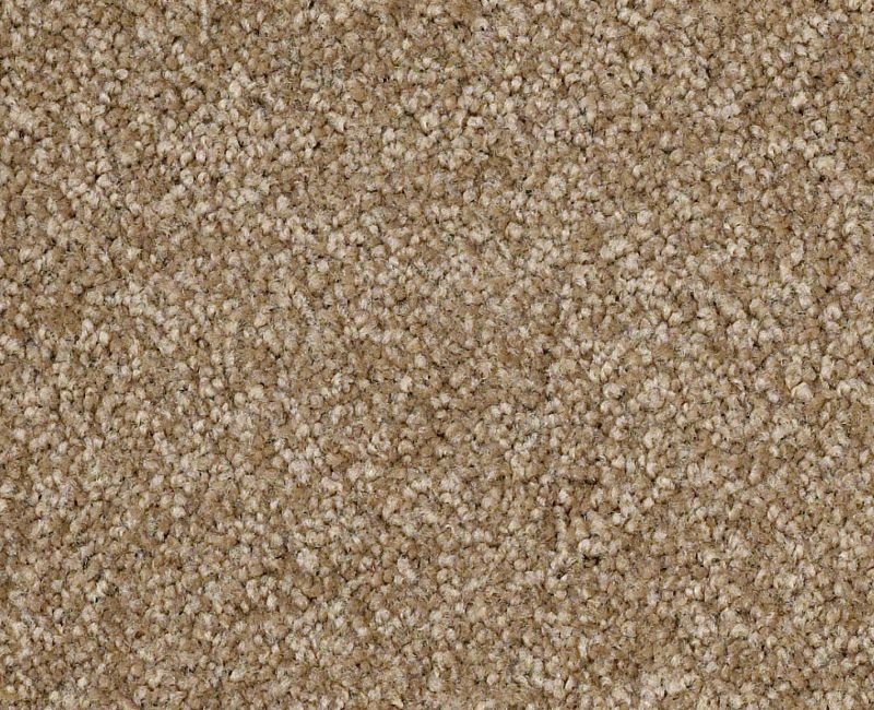 Anso Open I (S) Bridgewater Tan Nylon Carpet - Textured