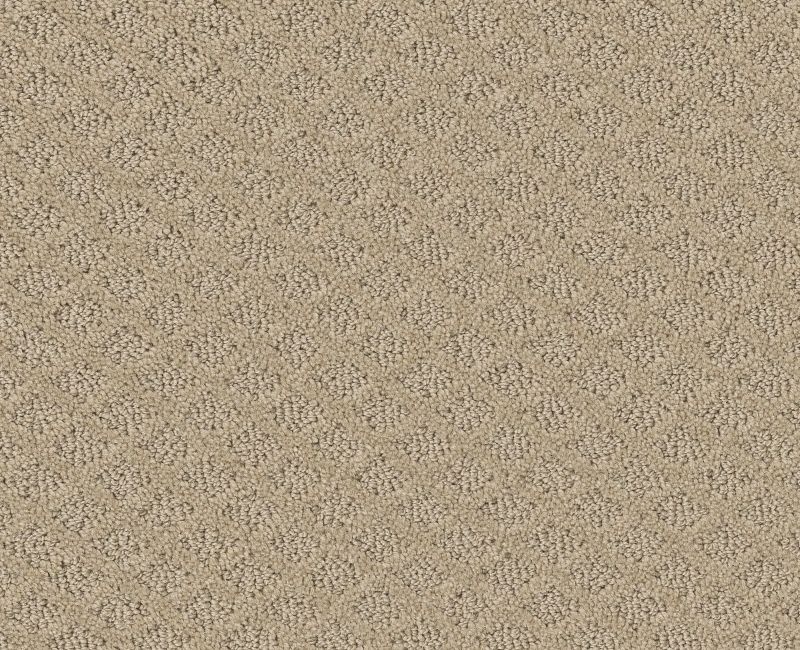 Born To Run Frost Nylon Carpet - Pattern