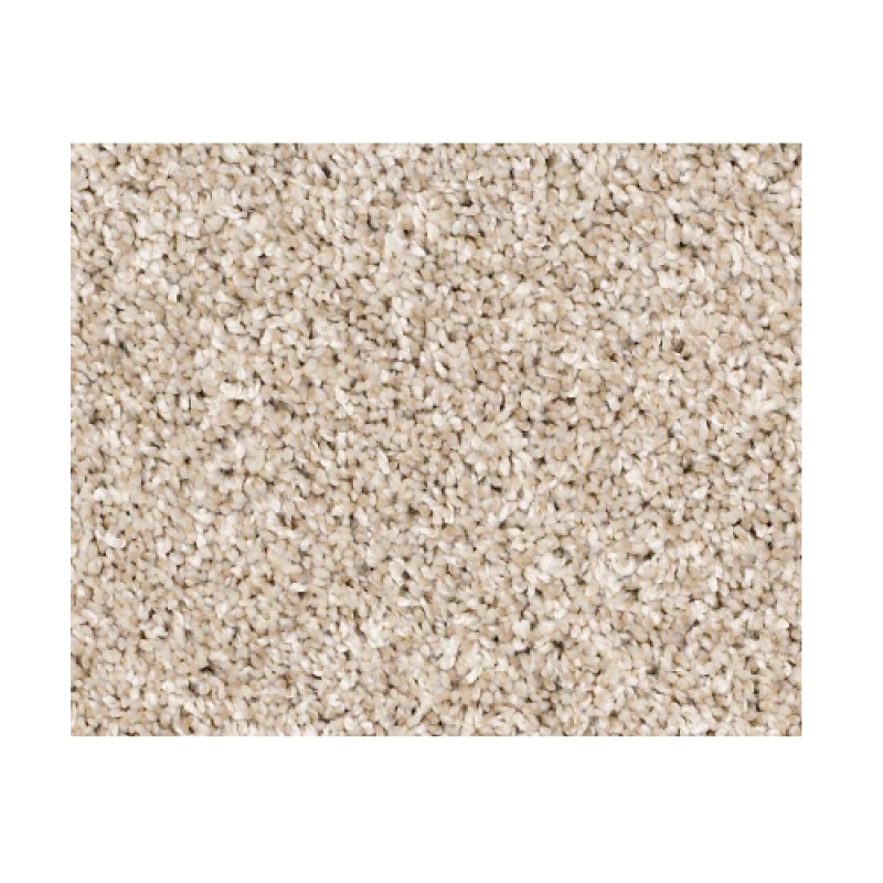 Captured II Sand Castle Polyester Carpet - Textured