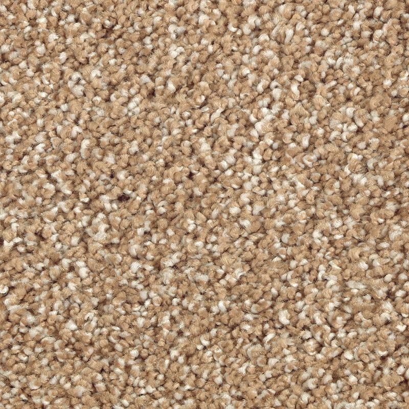 Natural Refinement I Brushed Suede Triexta Carpet