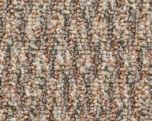 Loud & Clear Speak Freely Direct Dialog Nylon Carpet - Loop