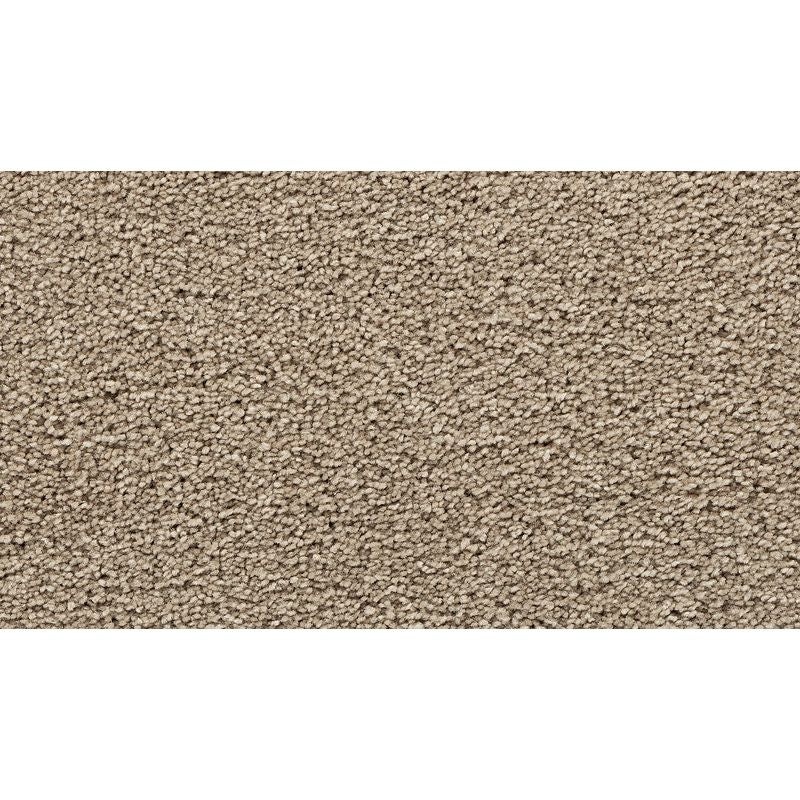 Cape Cod Polyester Carpet - Textured