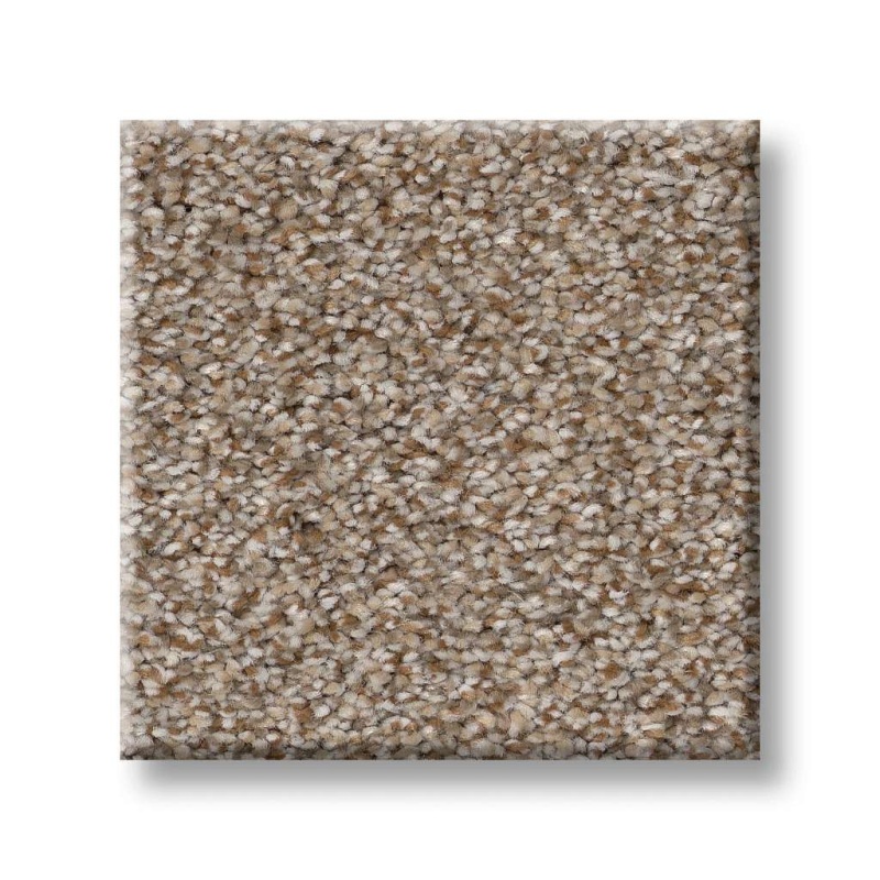 Simply The Best Values Truspirit Ii Cottage Polyester Carpet - Textured
