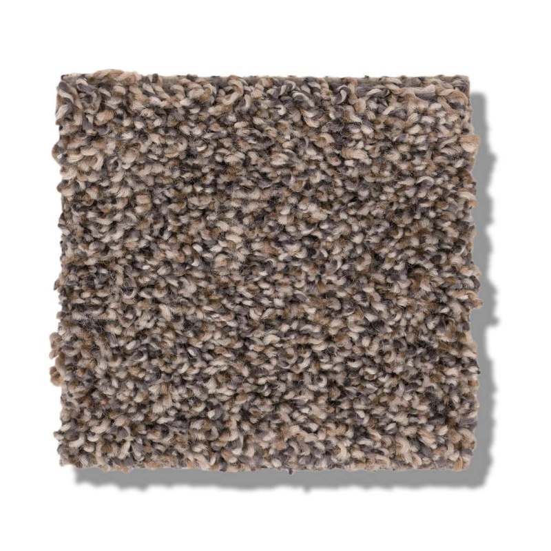 Pet Perfect Plus Calm Simplicity I Antelope Polyester Carpet