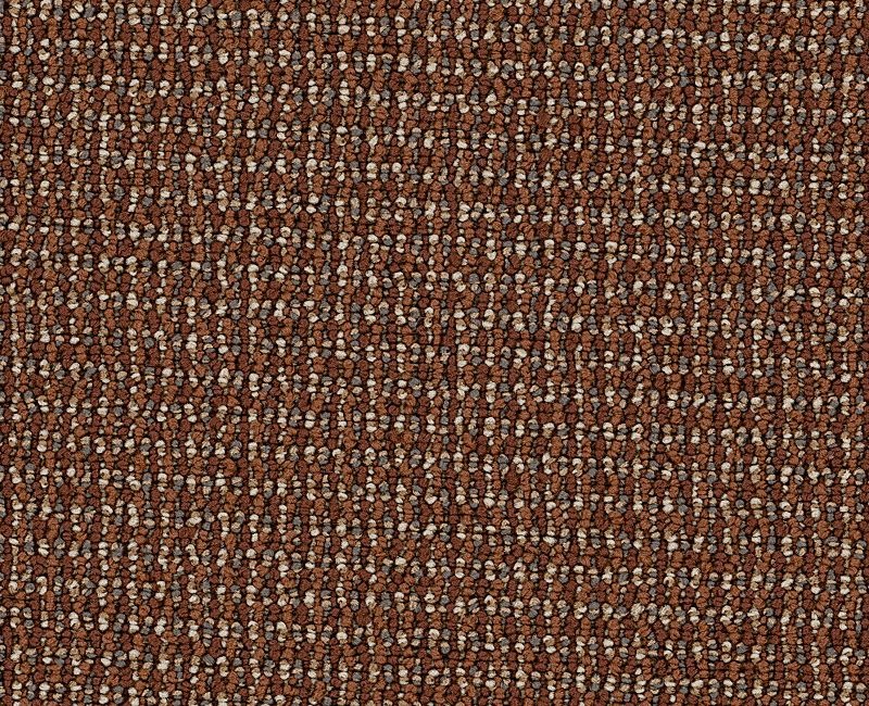 Clearance Sale! Dateline Today Rust Nylon Carpet - Loop