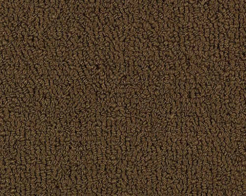 Color Accents Bl Coffee Nylon Carpet - Loop