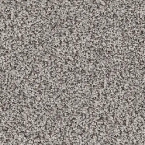 Best Of All Rainforest Polyester Carpet - Textured
