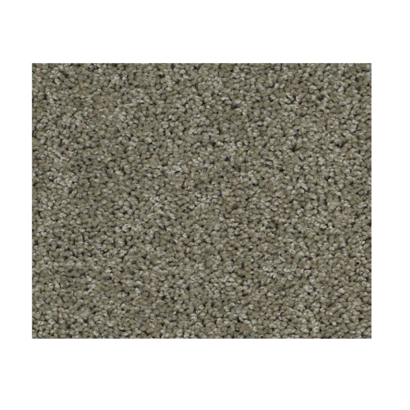 Dawning Silver Sage Nylon Carpet - Textured