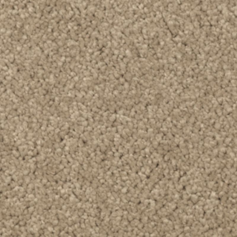 Natural Splendor I Brushed Suede Triexta Carpet - Textured
