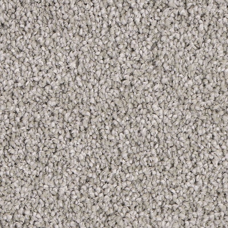 Delicate Tones I Mineral Grey Triexta Carpet - Textured
